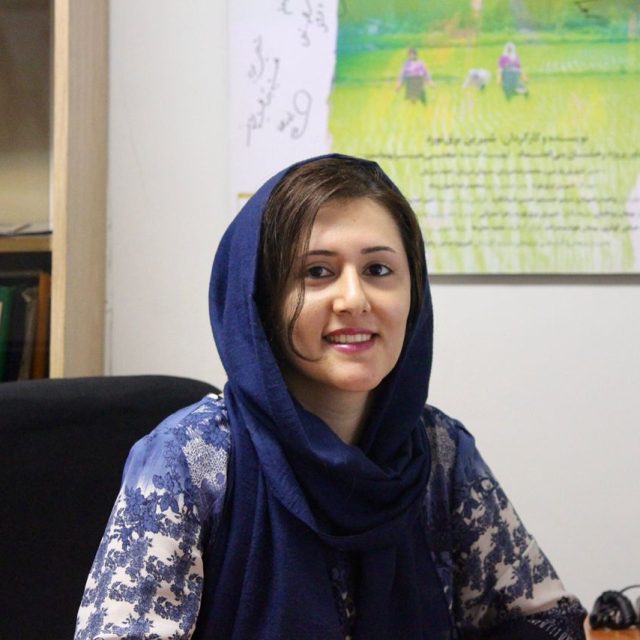 نیلوفر لهراسبی